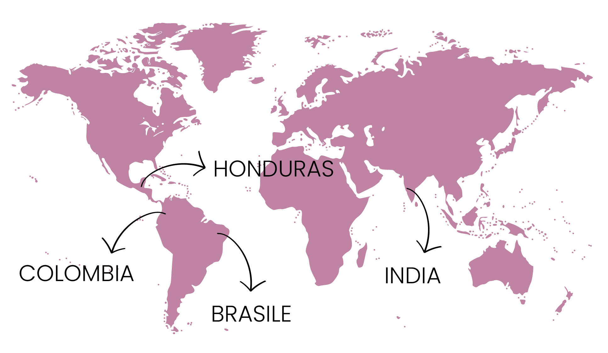 layout miscela_Mappa-1