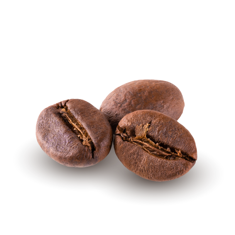2kg (500g x4袋) ムセッティ Musetti EVOLUZIONE Coffee beans | Quality coffee | Musetti Shop coffee