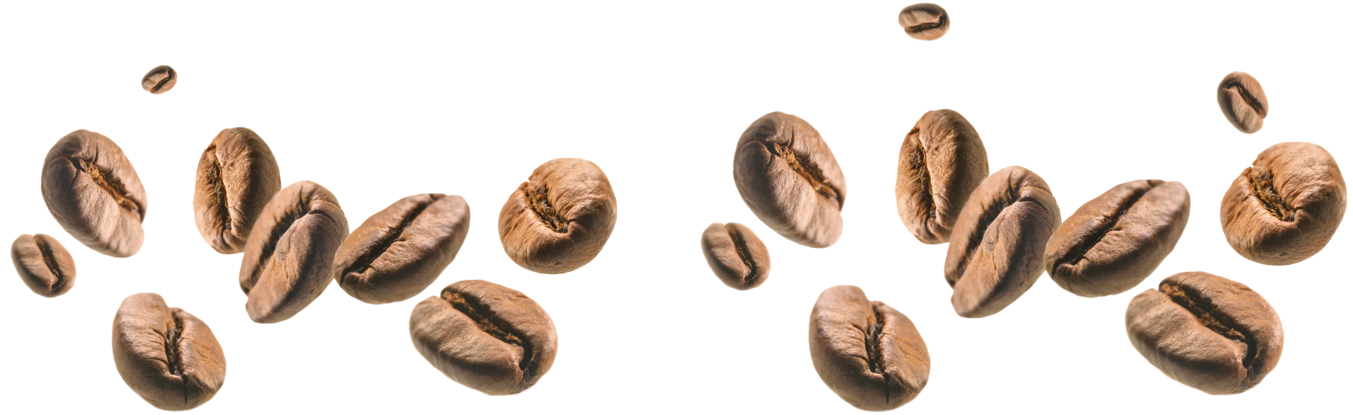 HOME - Caffè Musetti